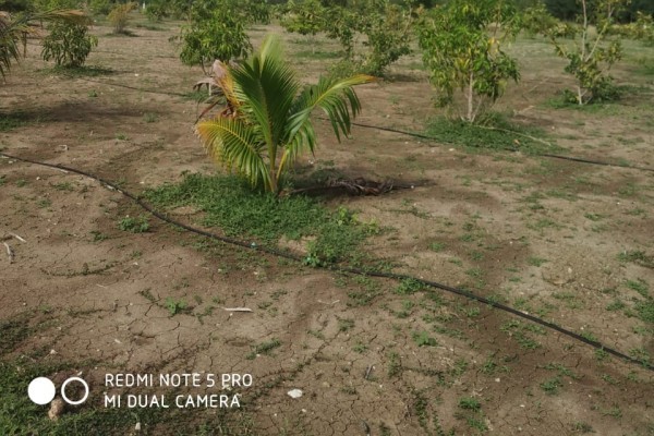 plot available for sale in  ONGUR, VILLUPURAM, TAMIL NADU.